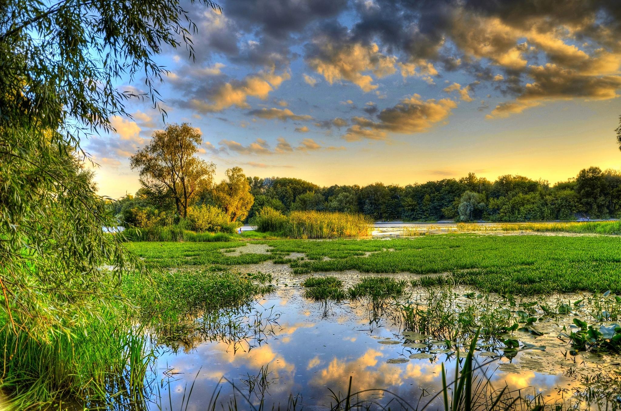 Фото бесплатно ручей, пейзаж, Украина