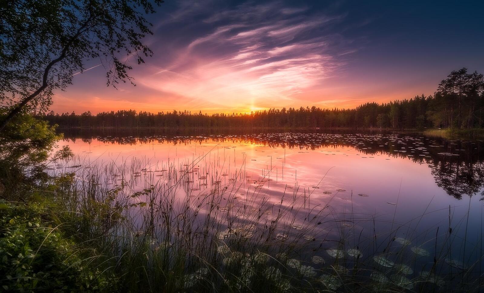 Wallpapers darkens sunset Finland on the desktop