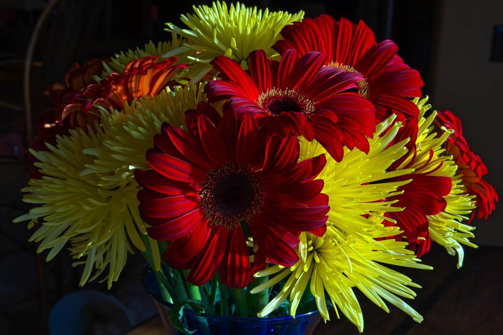 Обои красивый букет цветы хризантемы на рабочий стол