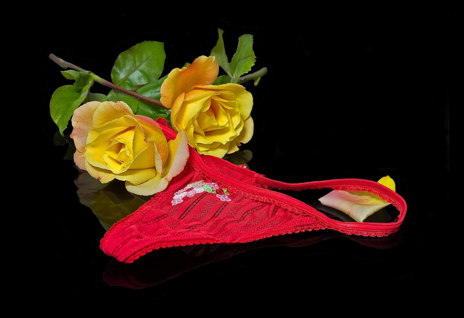 Обои розы цветы женские трусики на рабочий стол