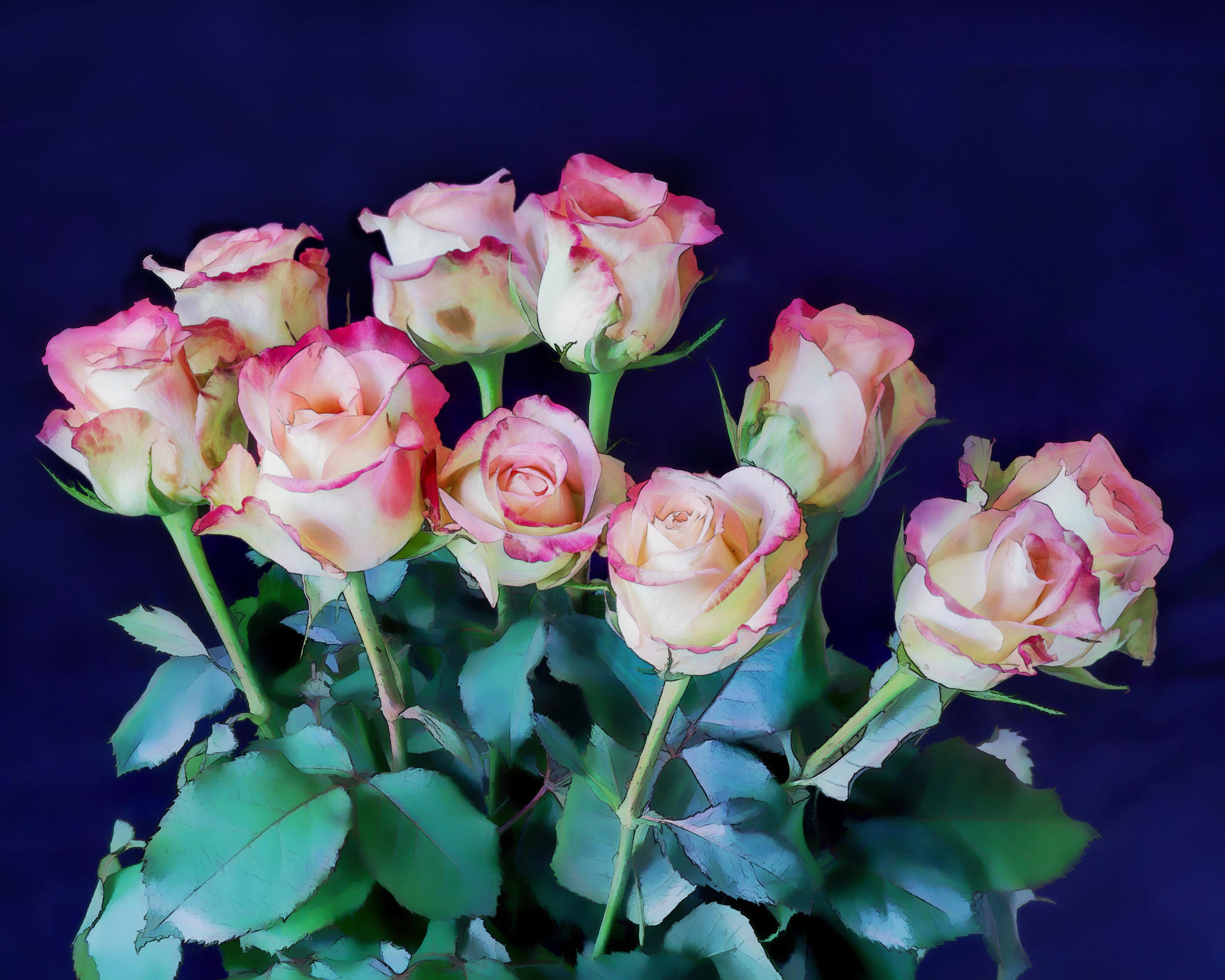 Фото бесплатно розы, букет, белые розы