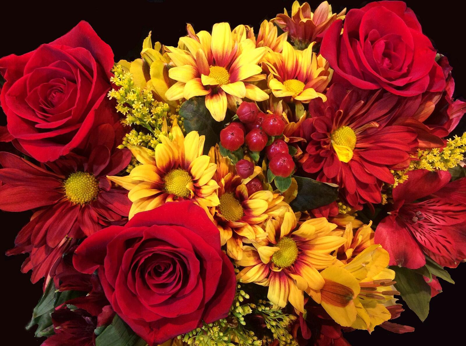 Обои красные розы желтые цветы флора на рабочий стол