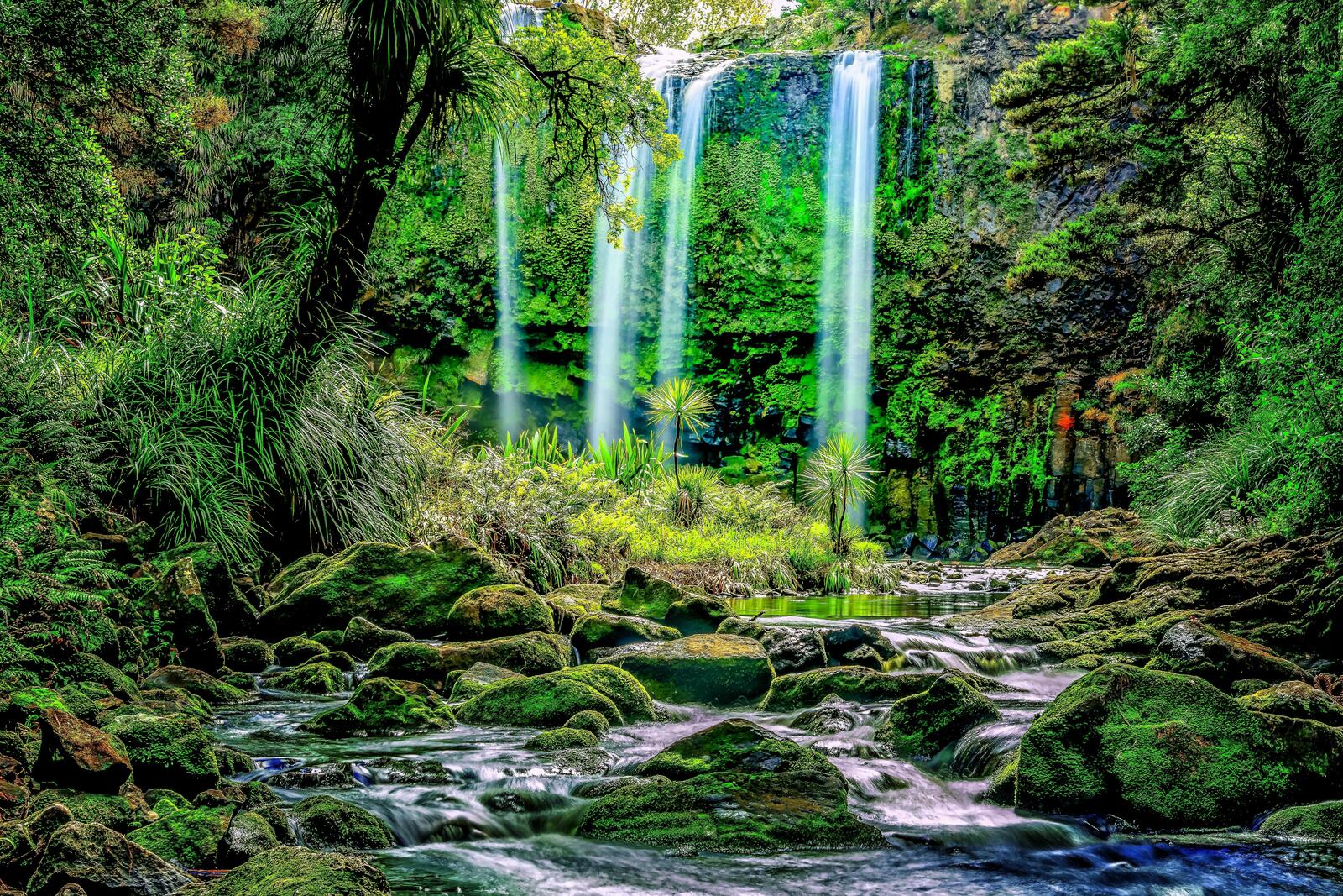 Wallpapers New Zealand North Island waterfall on the desktop