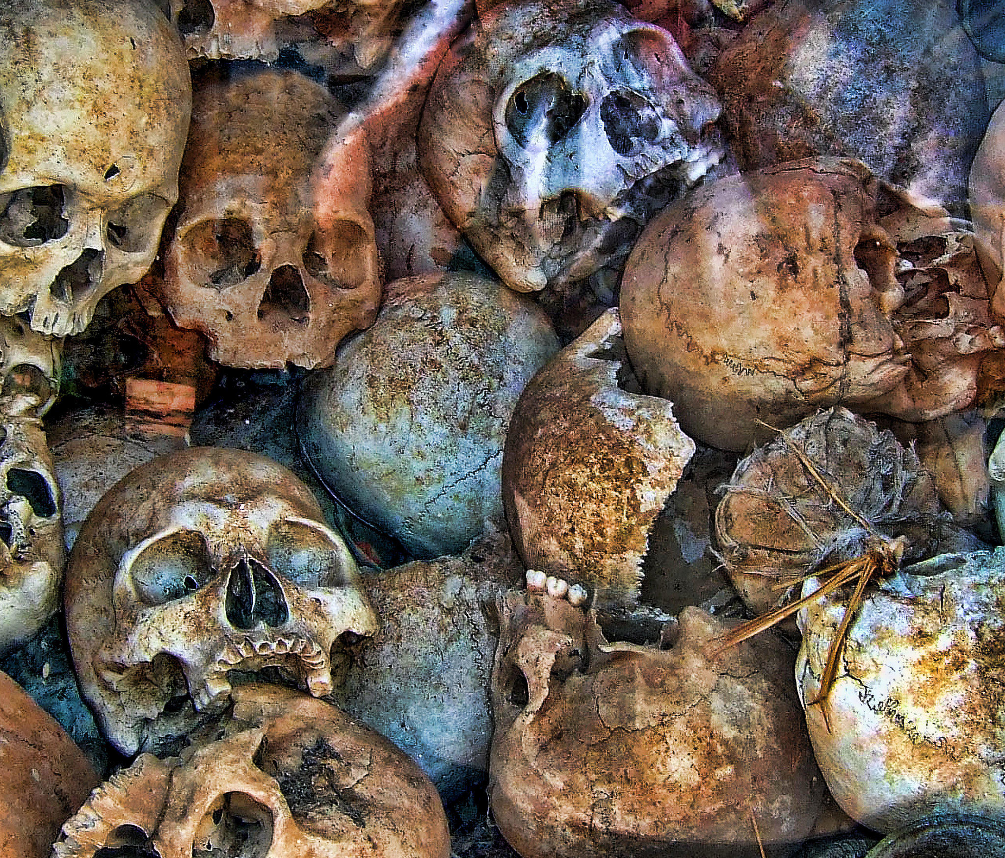 Wallpapers Skulls of Cambodia the remains of people head on the desktop