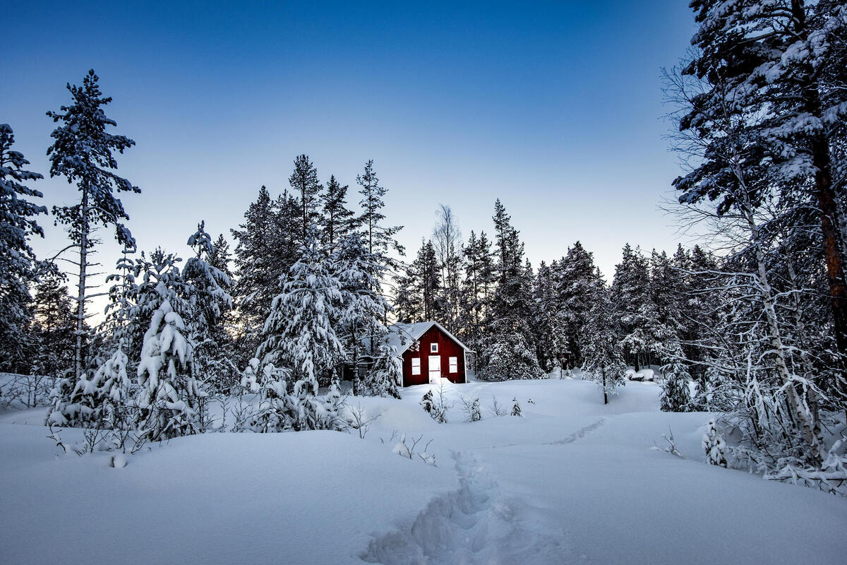A small cabin in the winter forest