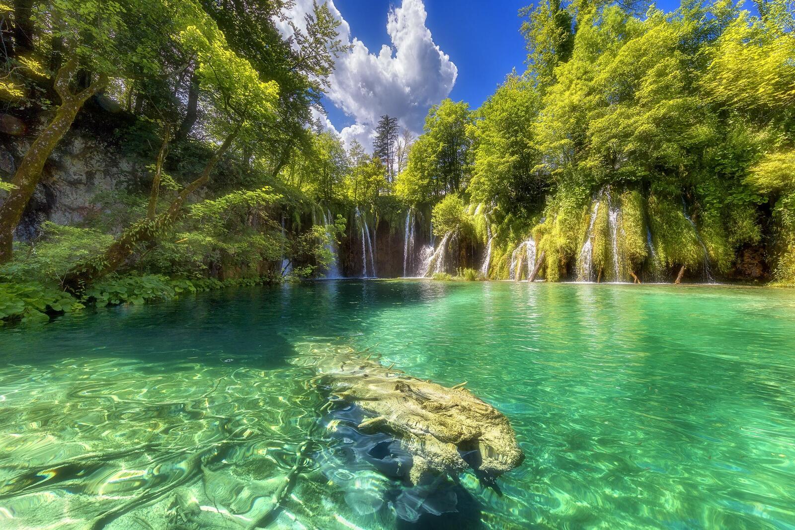 Обои пруд деревья озера Национальный хорватский парк Плитвицкие на рабочий стол