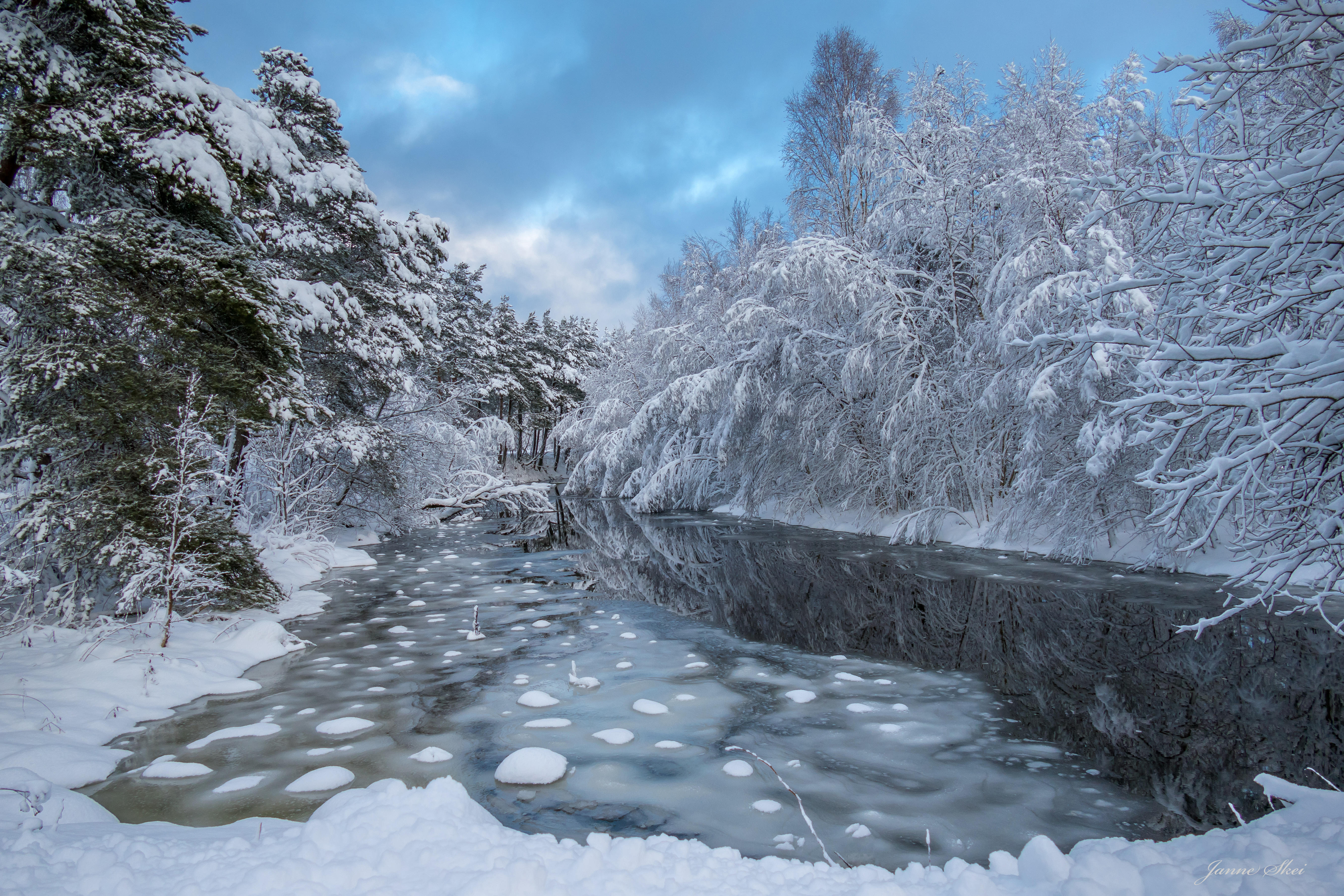 Фото бесплатно снежные берега, зима, снег на деревьях