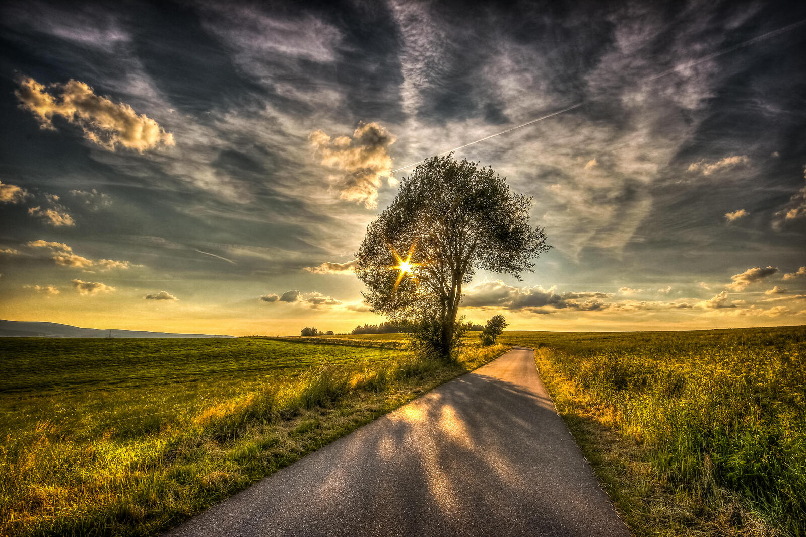 Free photo Photos of trees, road on the phone