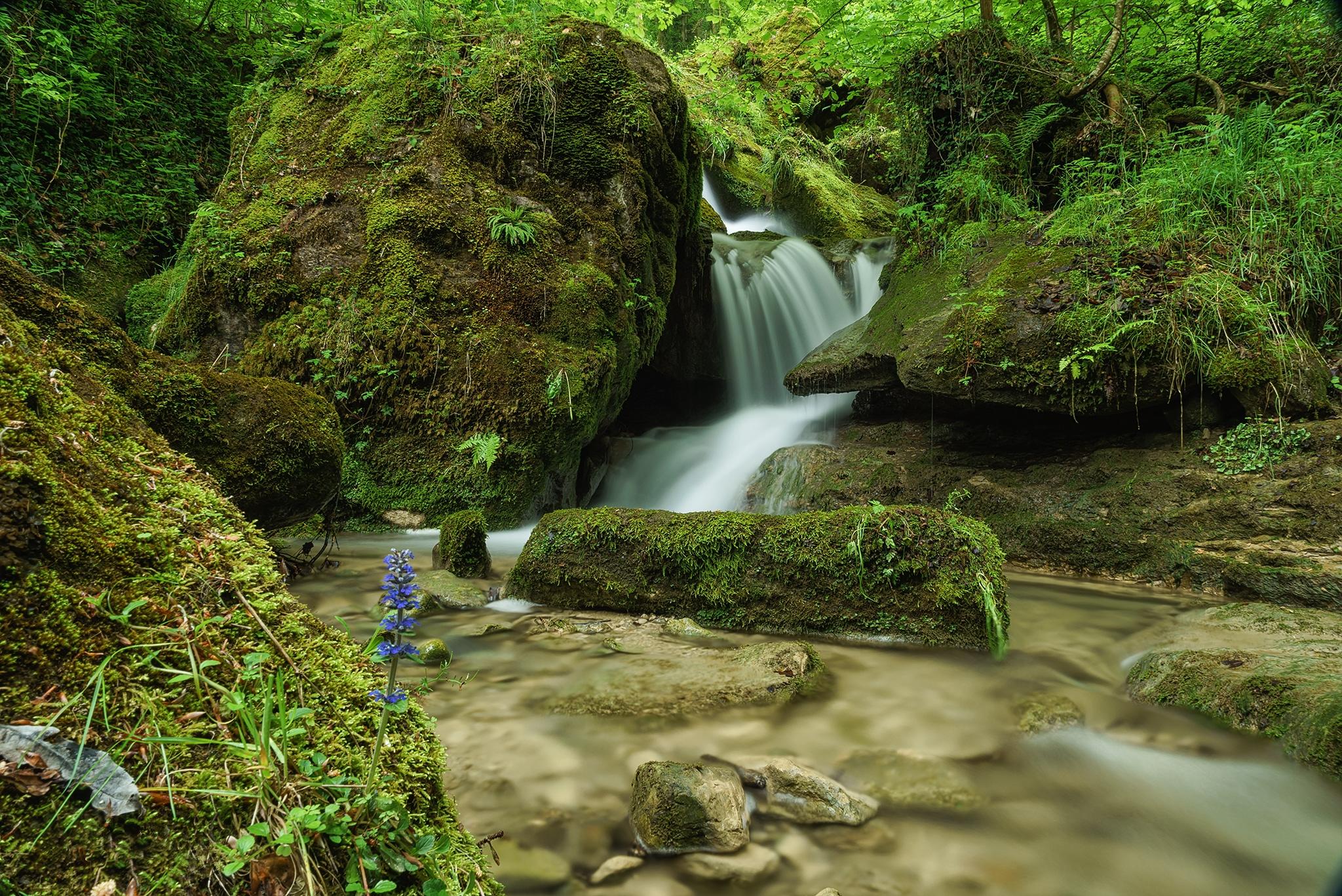 免费照片美丽的岩石，河流图片 免费下载