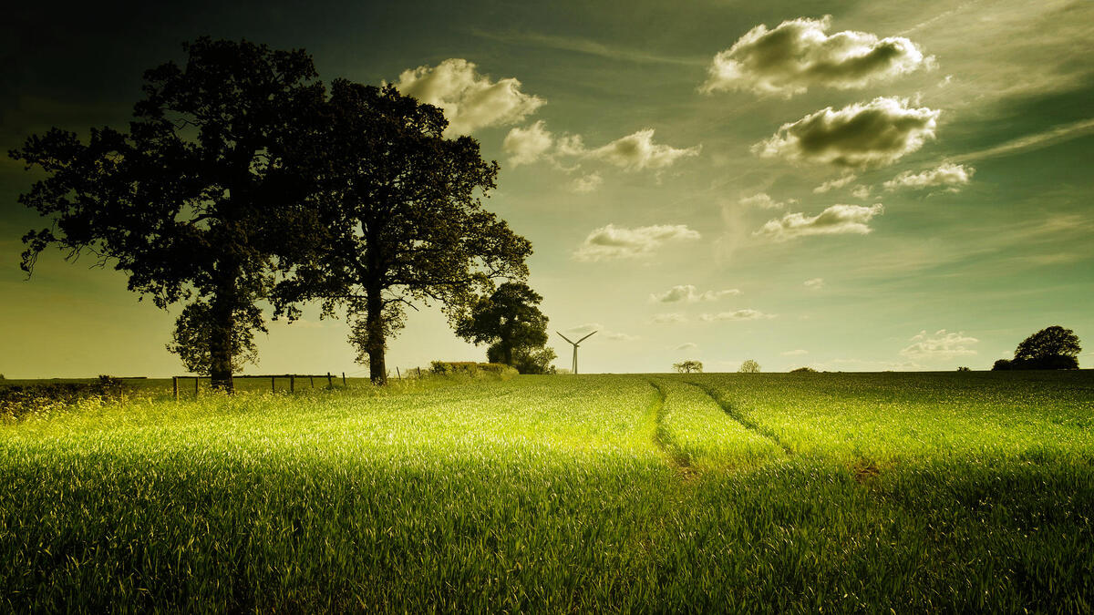 Free picture of a field, trees