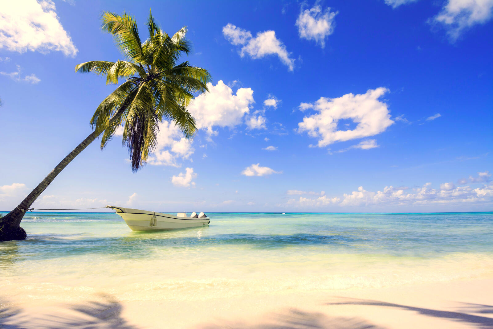 桌面上的壁纸船 海滩 热带地区