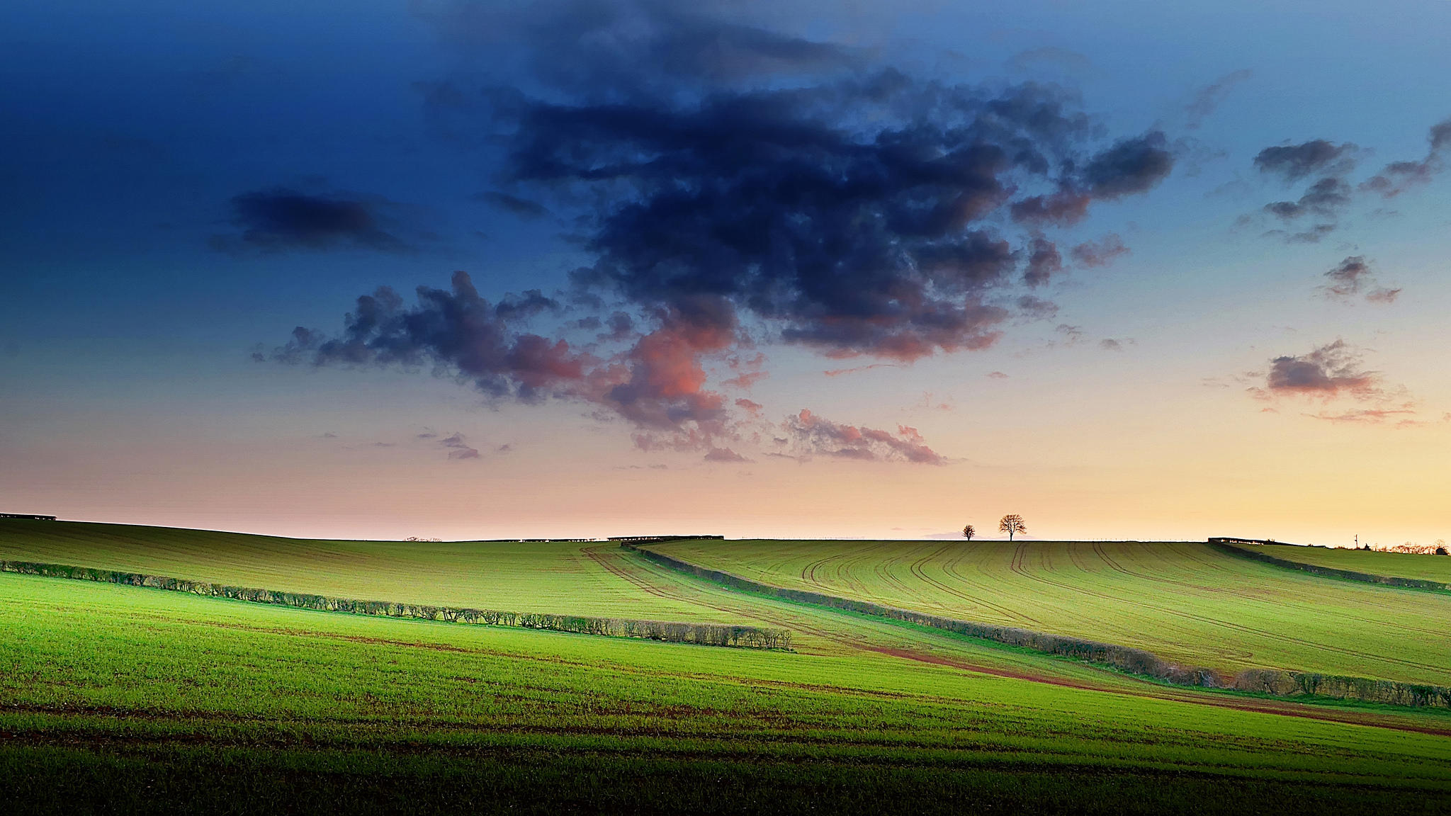 Фото бесплатно закат, зеленая трава, небо