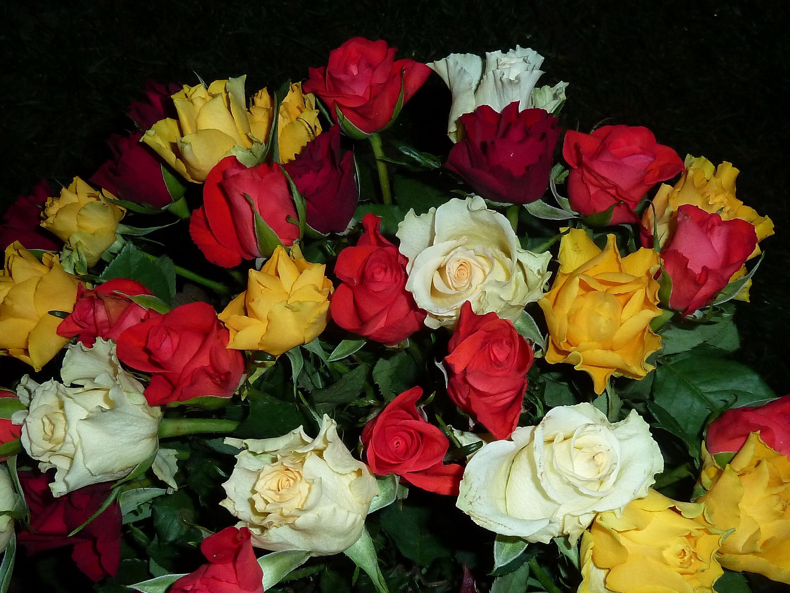Фото бесплатно букет роз, большой букет, красные розы