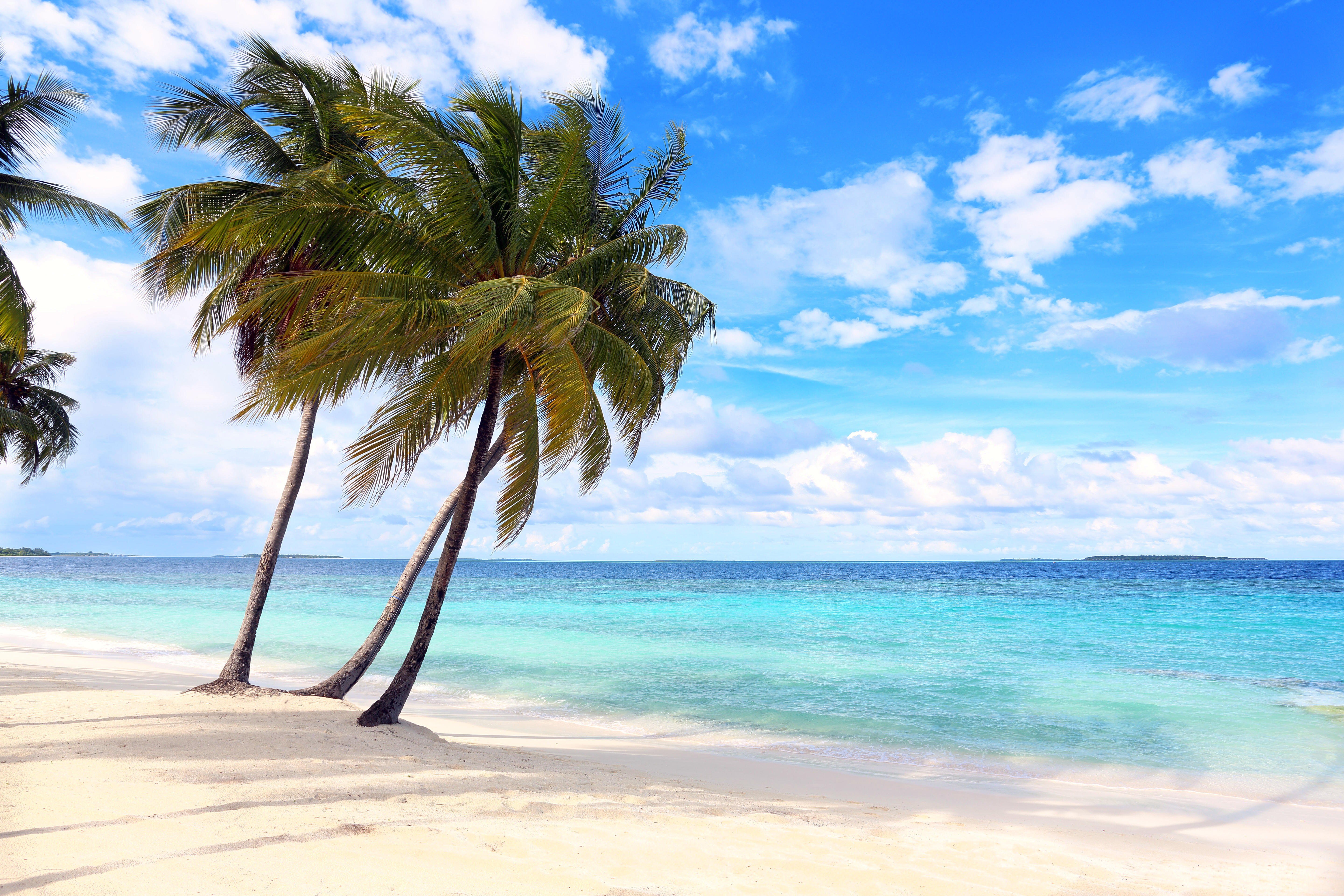 Фото бесплатно голубая вода, песчаный пляж, вид с берега