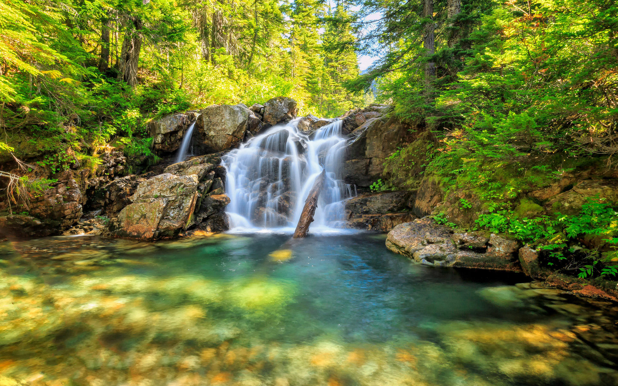 Фото бесплатно водопад, водопад в лесу, зеленые листья