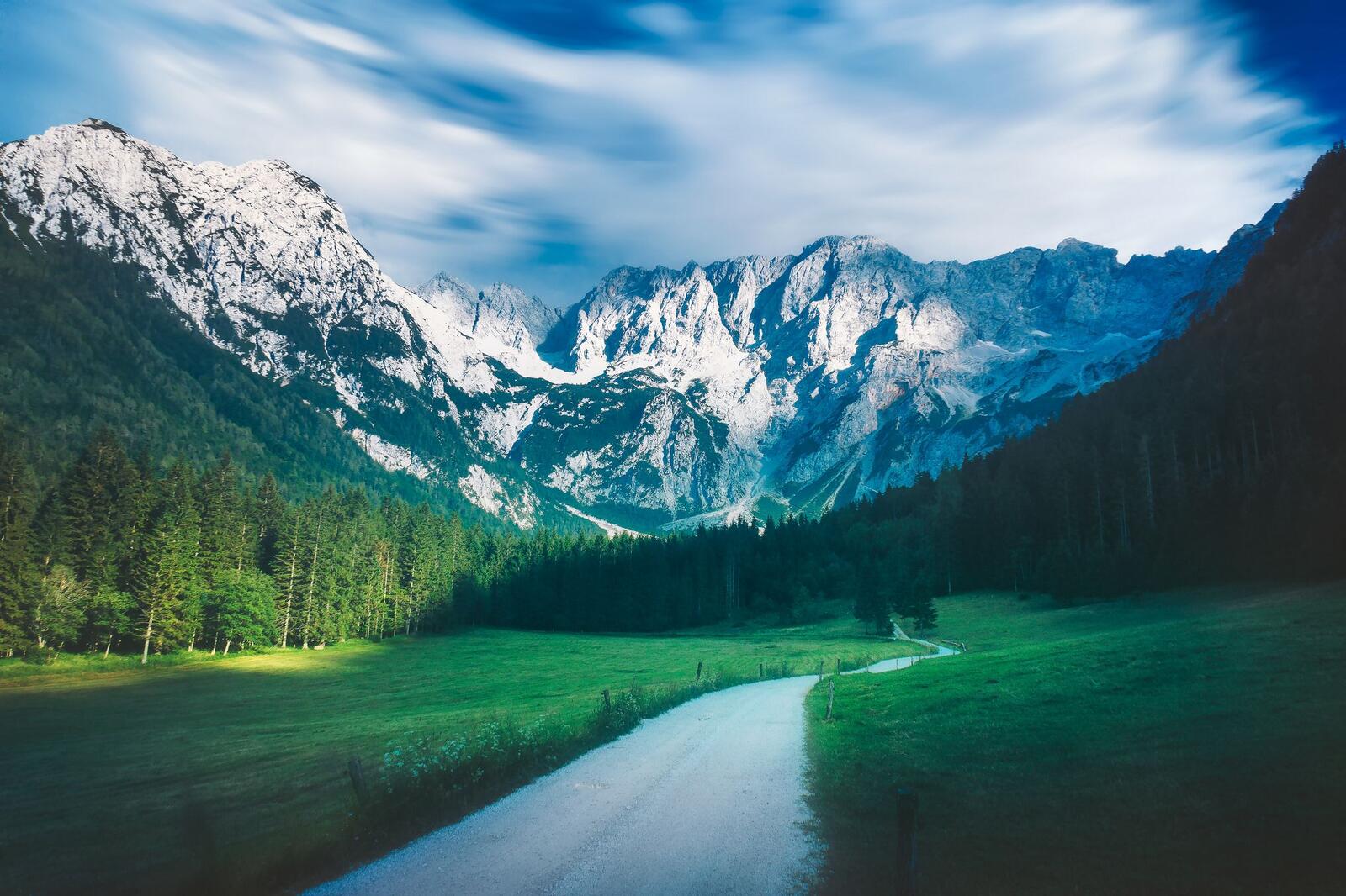 Wallpapers green grass road across the field snow on the mountains on the desktop