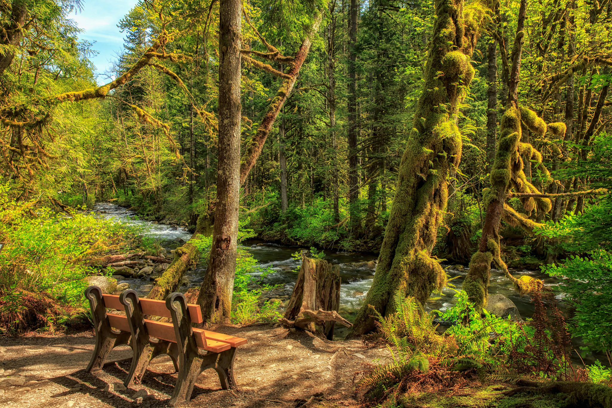 Wallpapers Wallace River Washington United States on the desktop