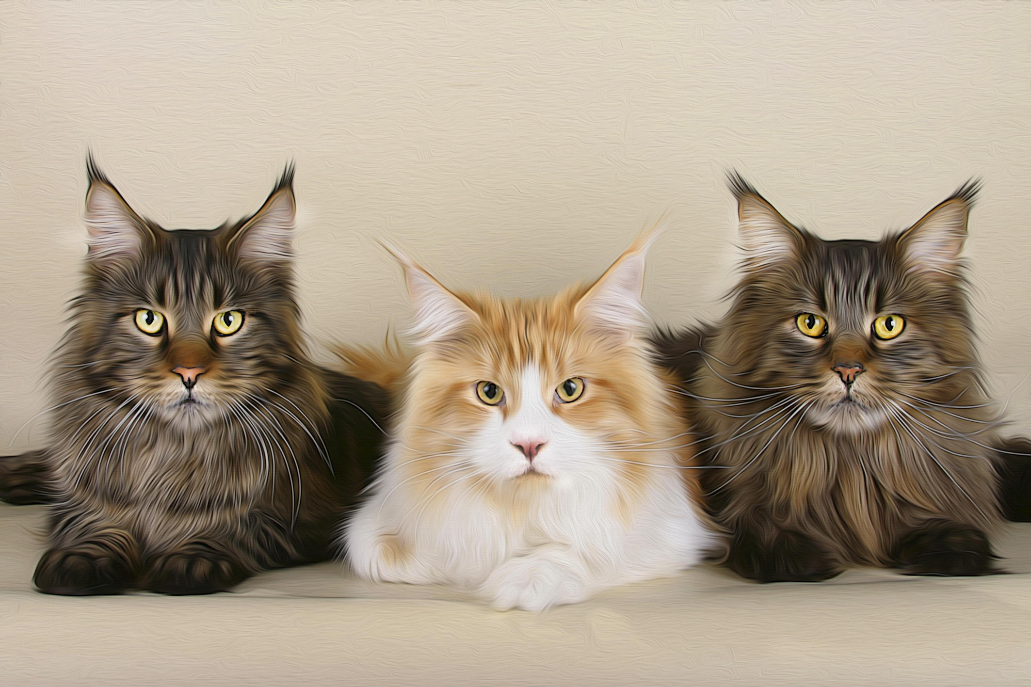 Wallpapers cats art photoshop on the desktop
