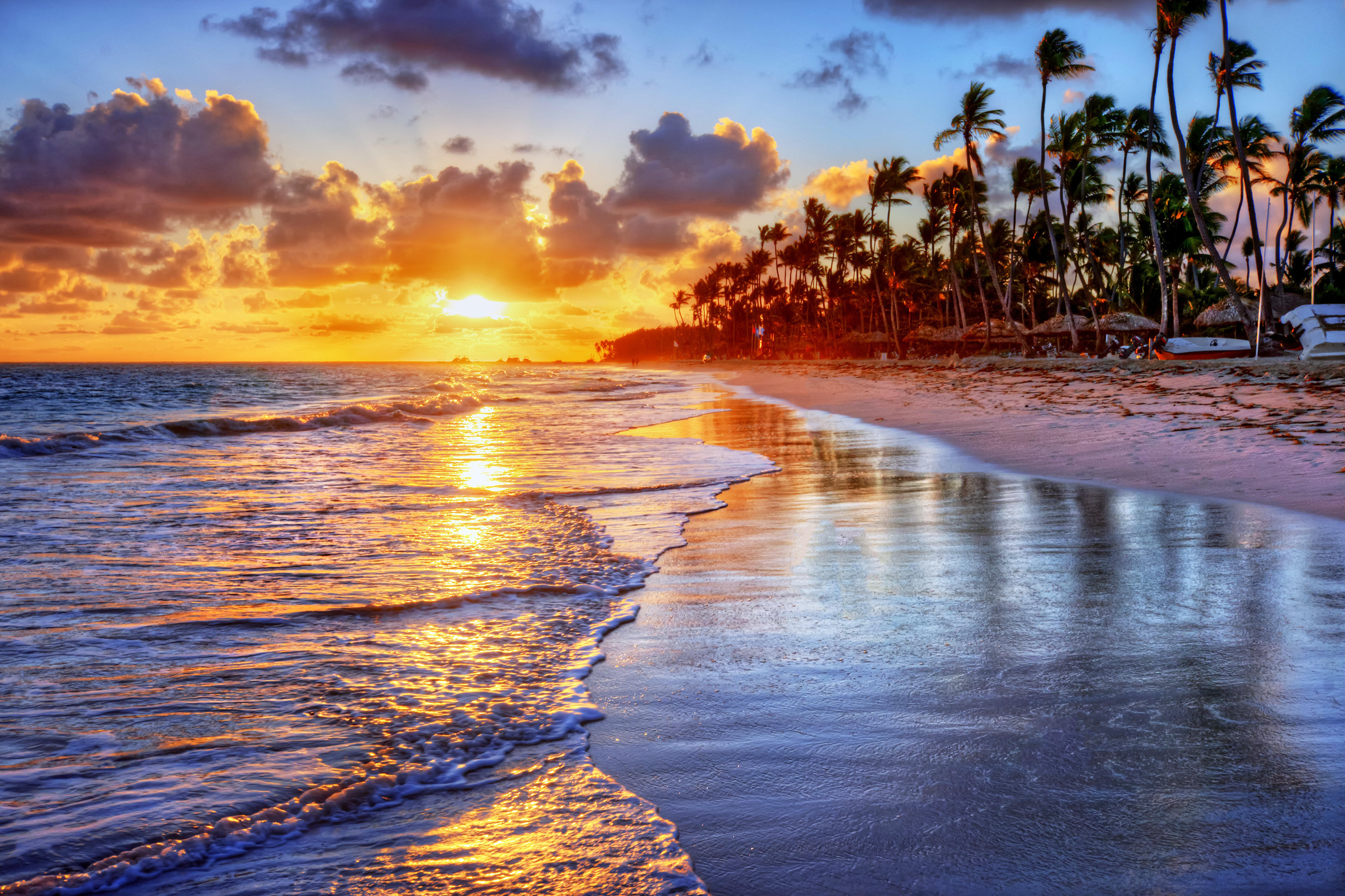桌面上的壁纸日落 棕榈叶 海滩
