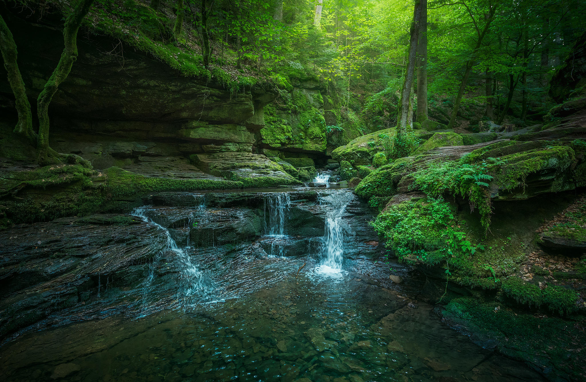 Водопад в зеленом лесу