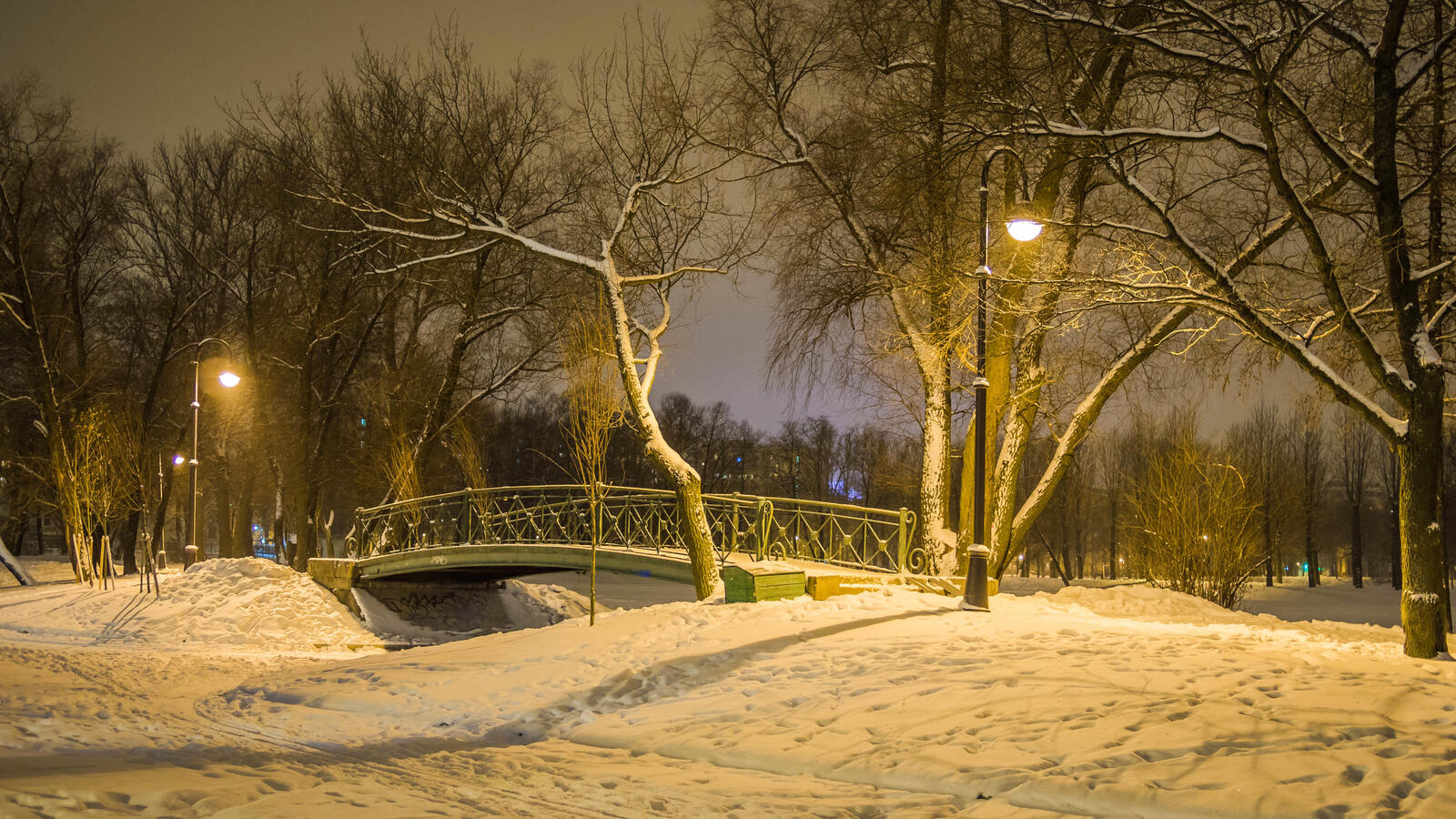 Wallpapers The bridge in the Moscow victory Park Park winter on the desktop