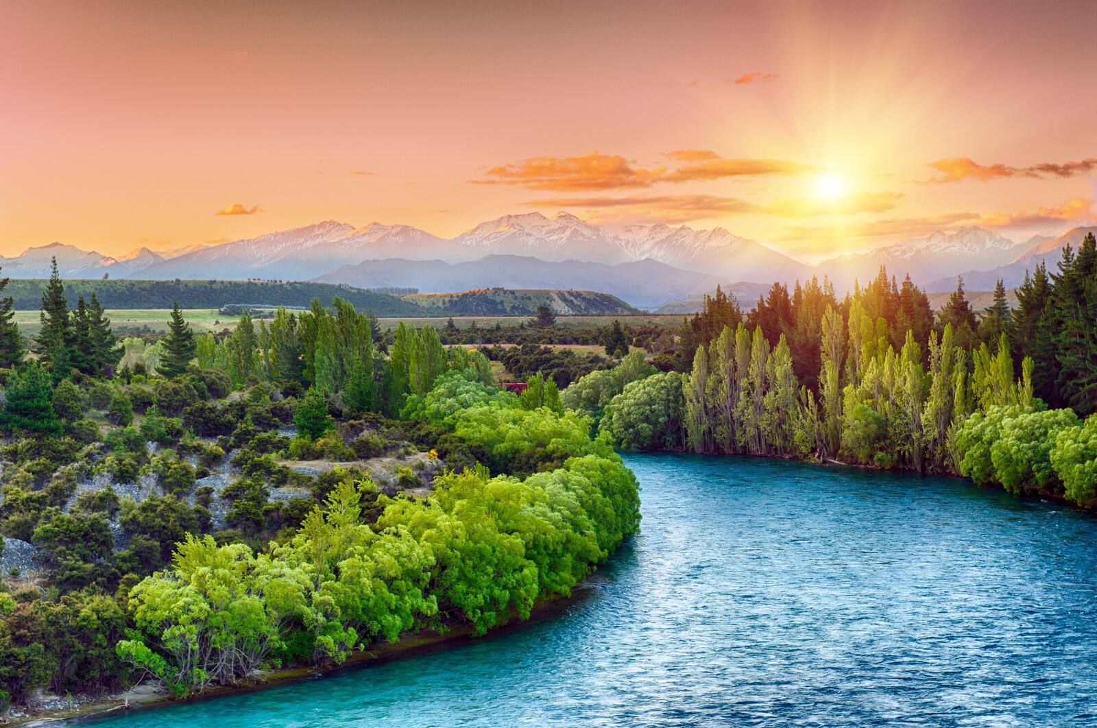 Wallpapers trees sunset Clutha river on the desktop
