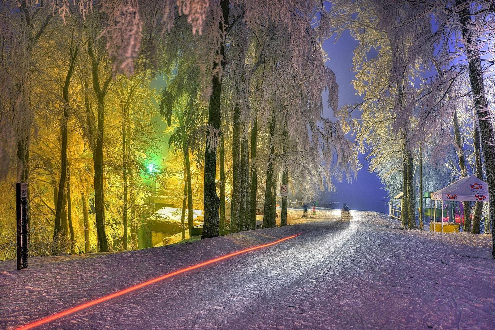 Бесплатное фото Заставка деревья, снег на компьютер