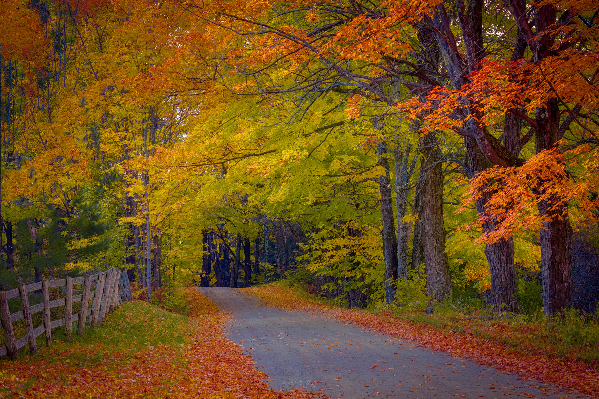 Бесплатное фото Заставка осень, лес на экран