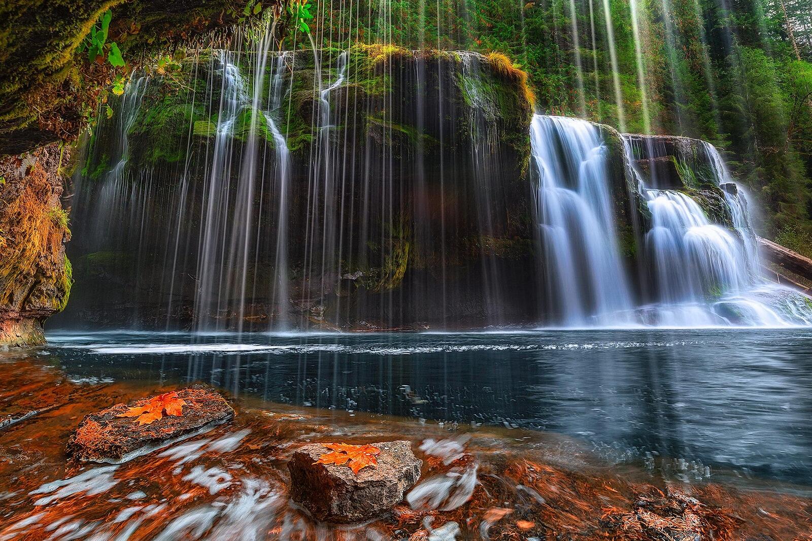 Wallpapers Washington Lower Lewis River Falls Gifford National Forest on the desktop
