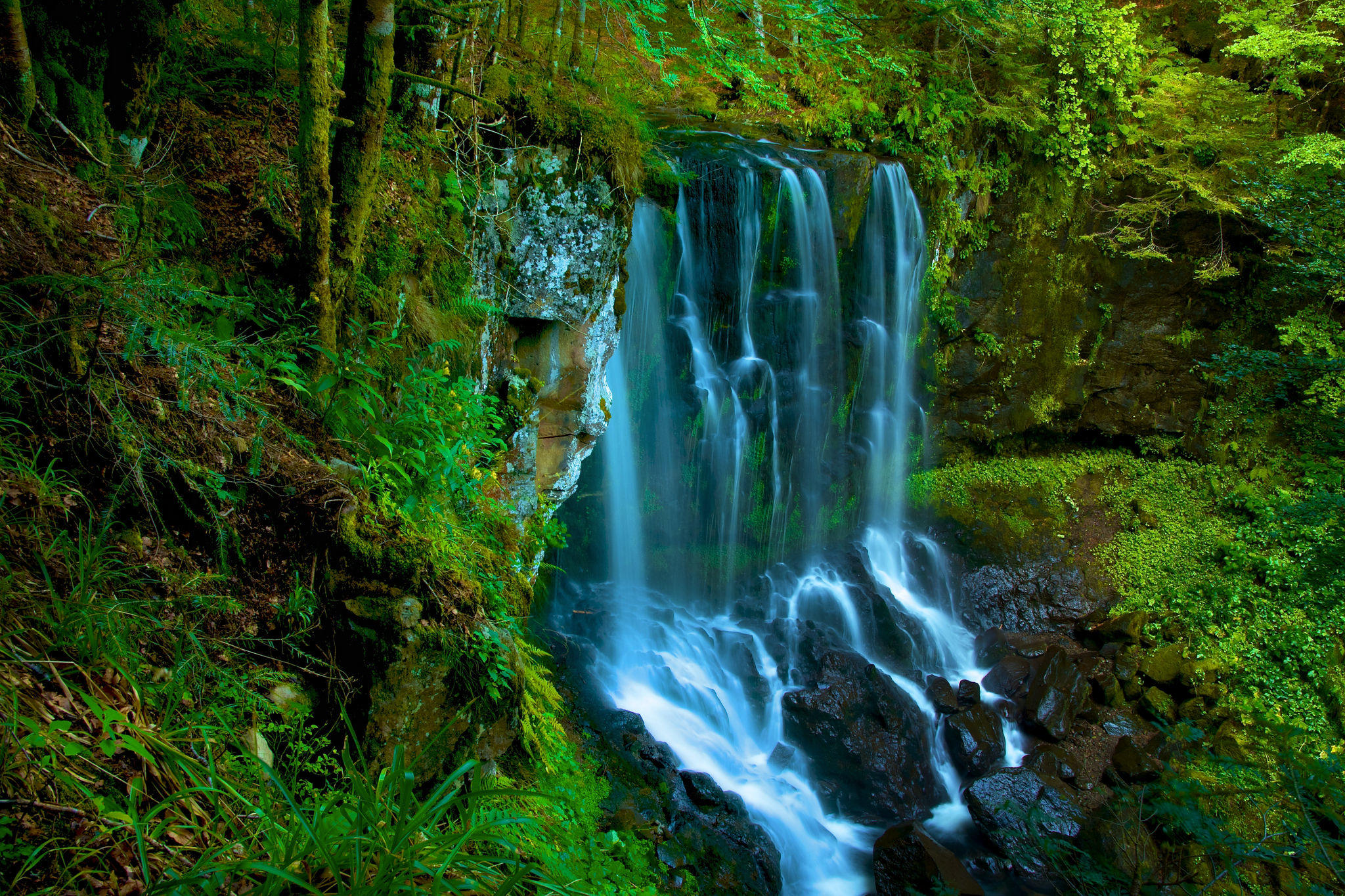 Фото бесплатно зеленый мох, скалы, водопад в лесу