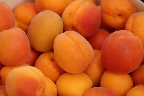 A big pile of Turkish apricots.