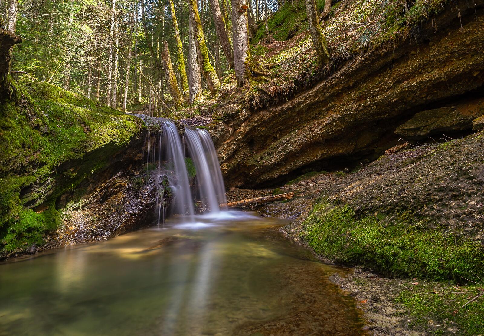 Бесплатное фото Водопад в лесу