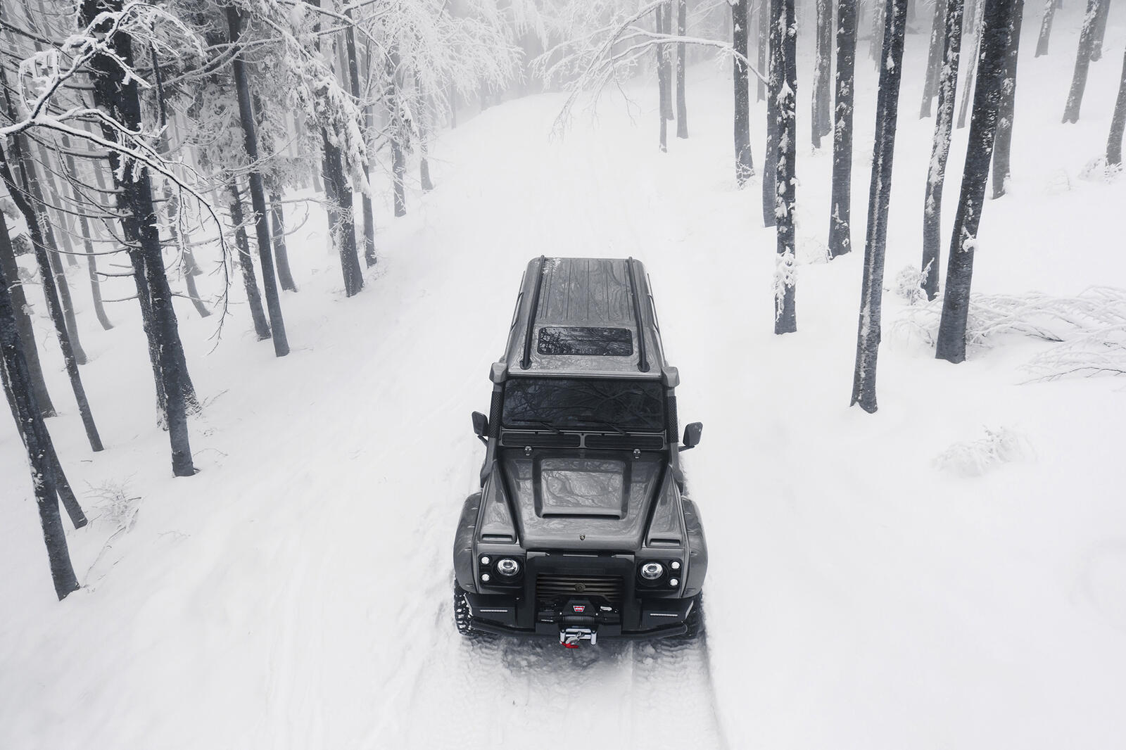 Обои Land Rover зима лес на рабочий стол