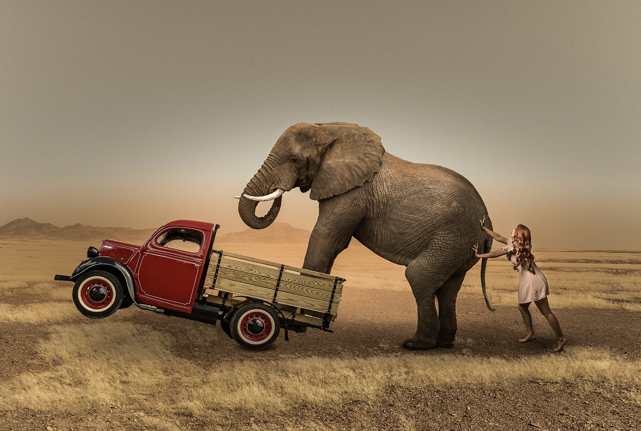 Фото бесплатно автомобиль, слон, девушка