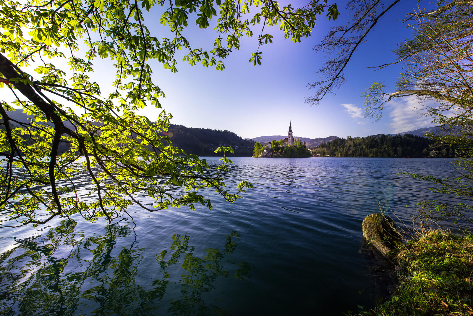 Wallpapers A special view of the bled island Slovenia landscape on the desktop