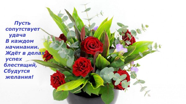 一张以鲜花 为您服务，发自内心 玫瑰花束为主题的明信片
