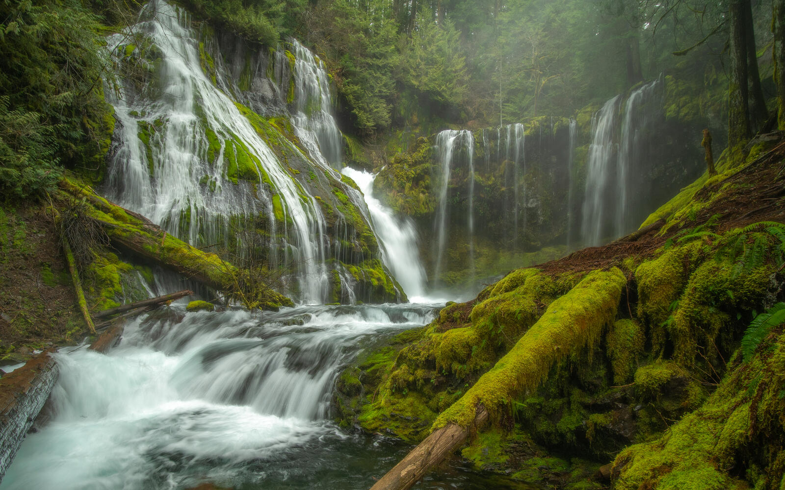 Wallpapers Panther Creek Falls forest Gifford Pinchot on the desktop