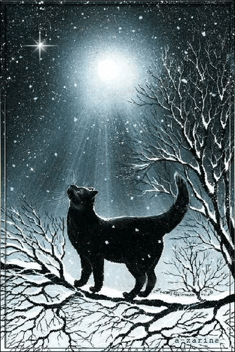 Postcard card cat rays snow - free greetings on Fonwall
