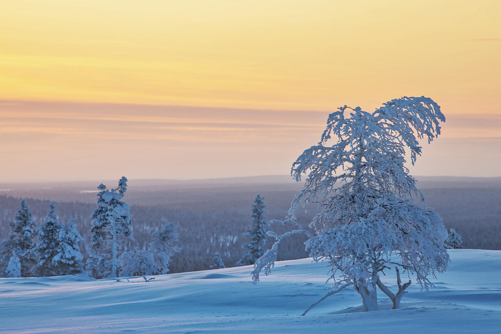 Бесплатное фото Обои лапландия, финляндия телефон на высокого качества