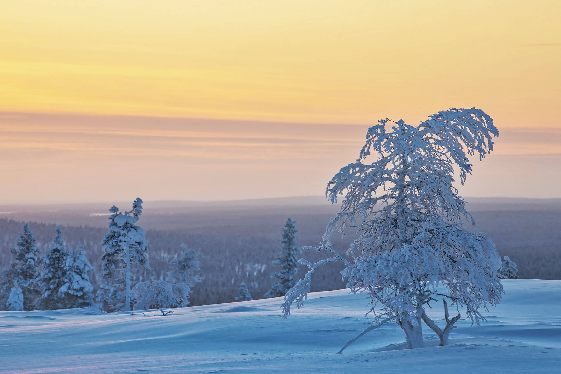 Free photo Wallpapers lapland, finland phone on high quality