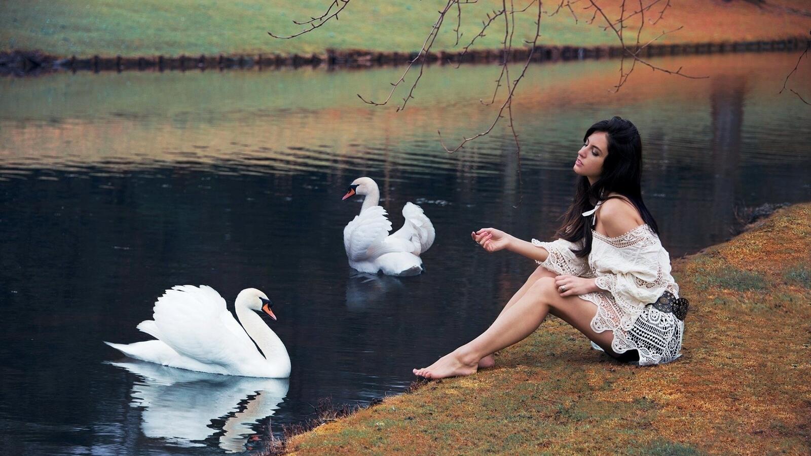 Wallpapers woman white swans pond on the desktop