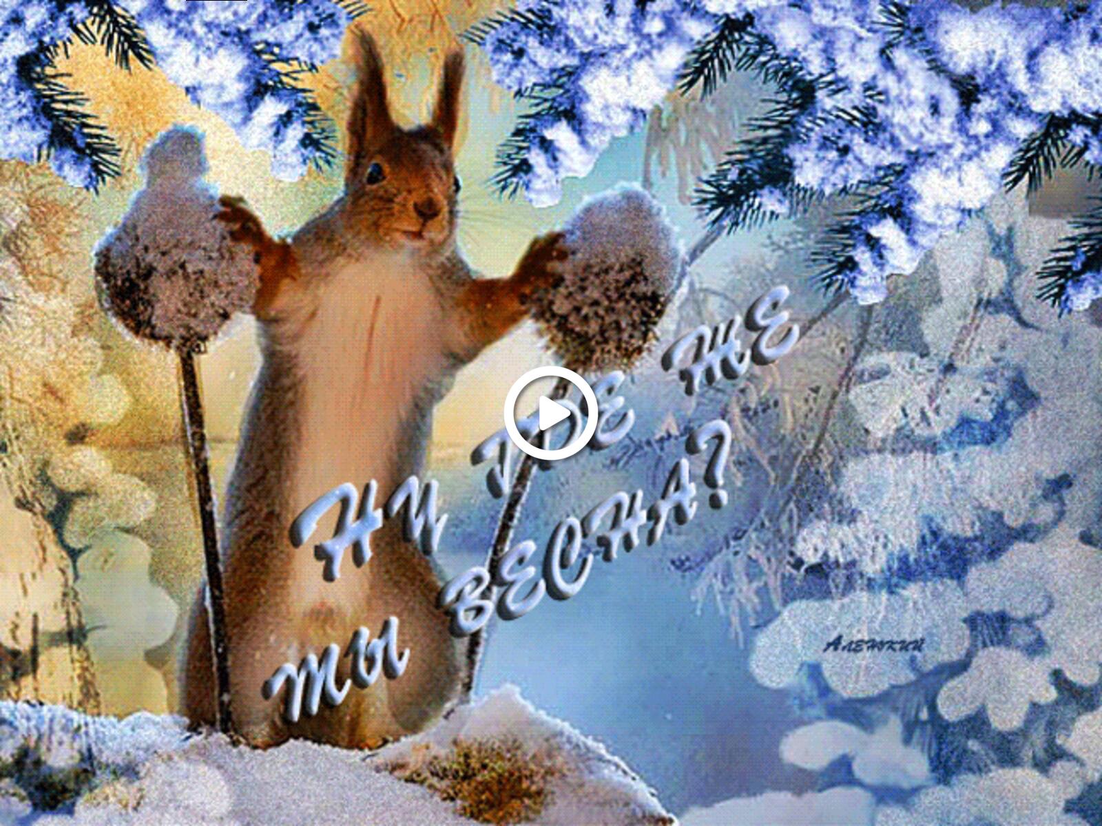 一张以松鼠 动物 春季为主题的明信片