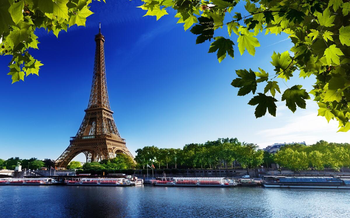 Eiffel Tower in summer time