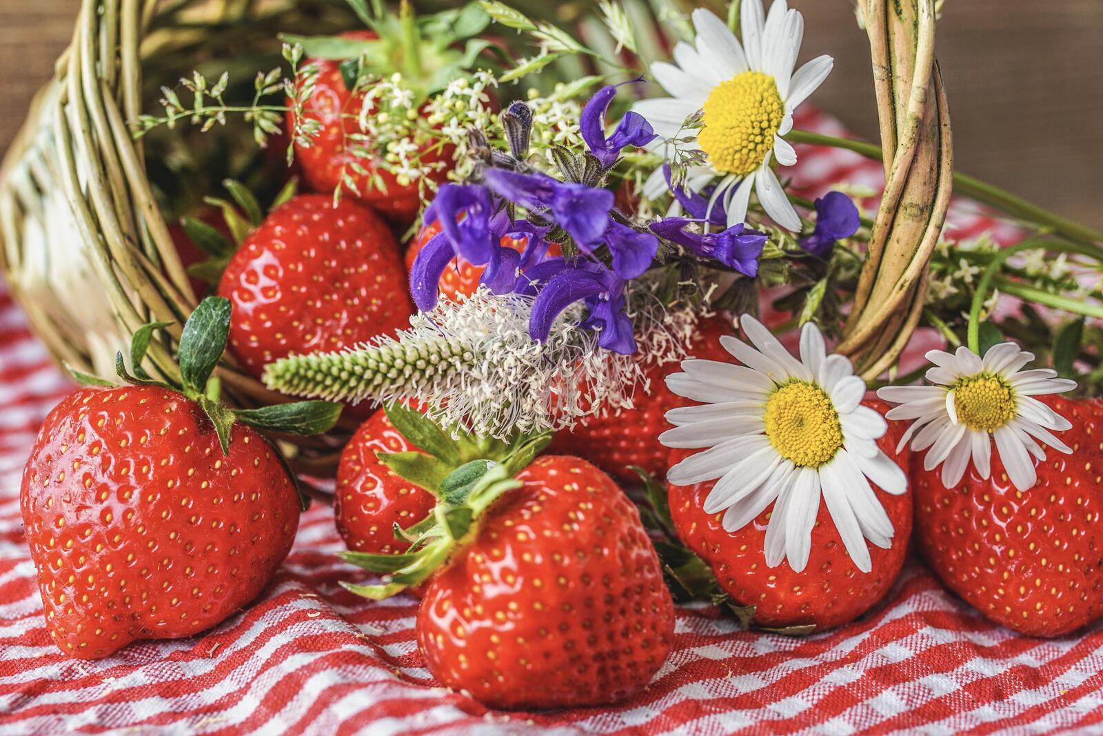 Wallpapers berries strawberries basket on the desktop