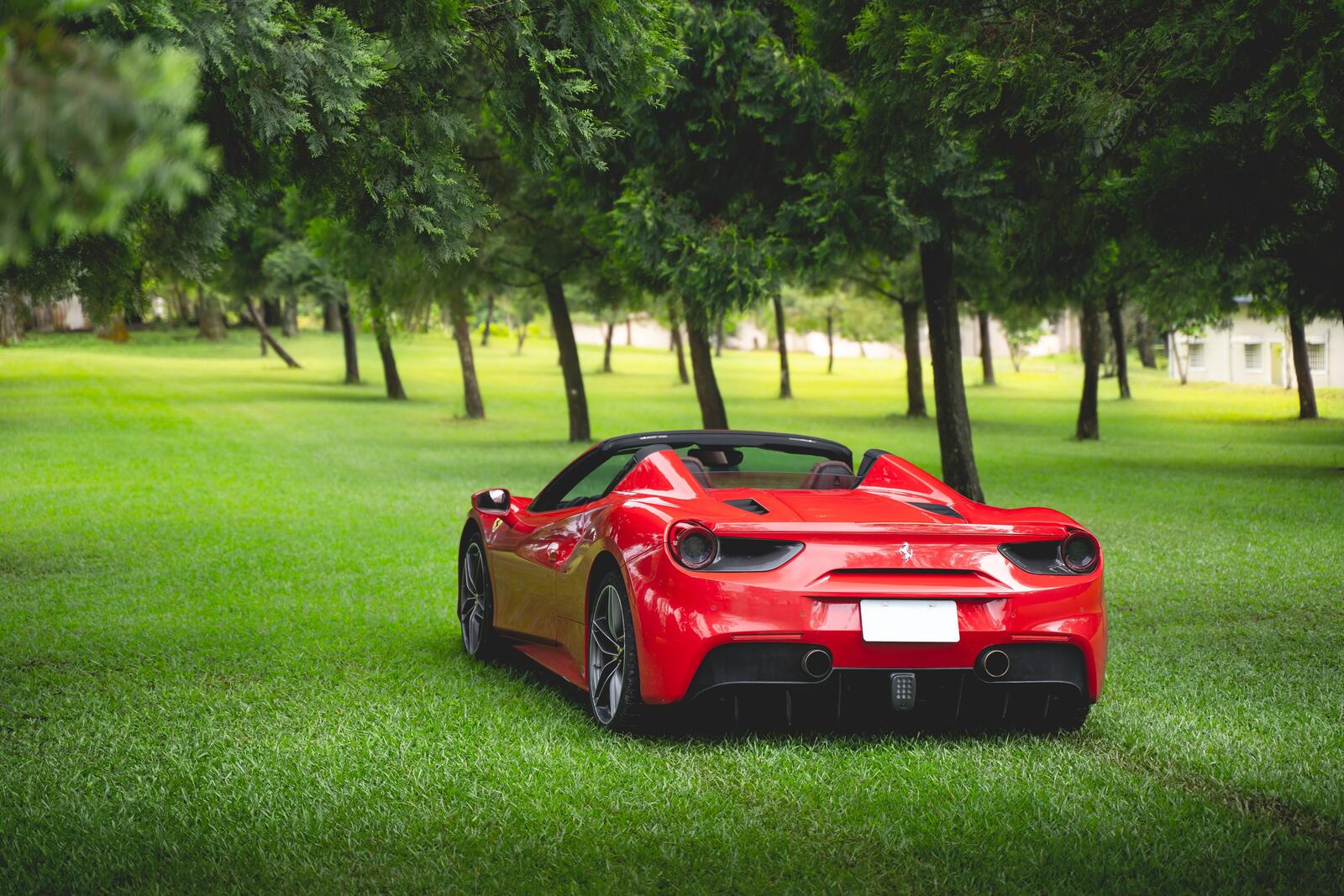 Wallpapers Ferrari 488 Spider rear view red supercars on the desktop