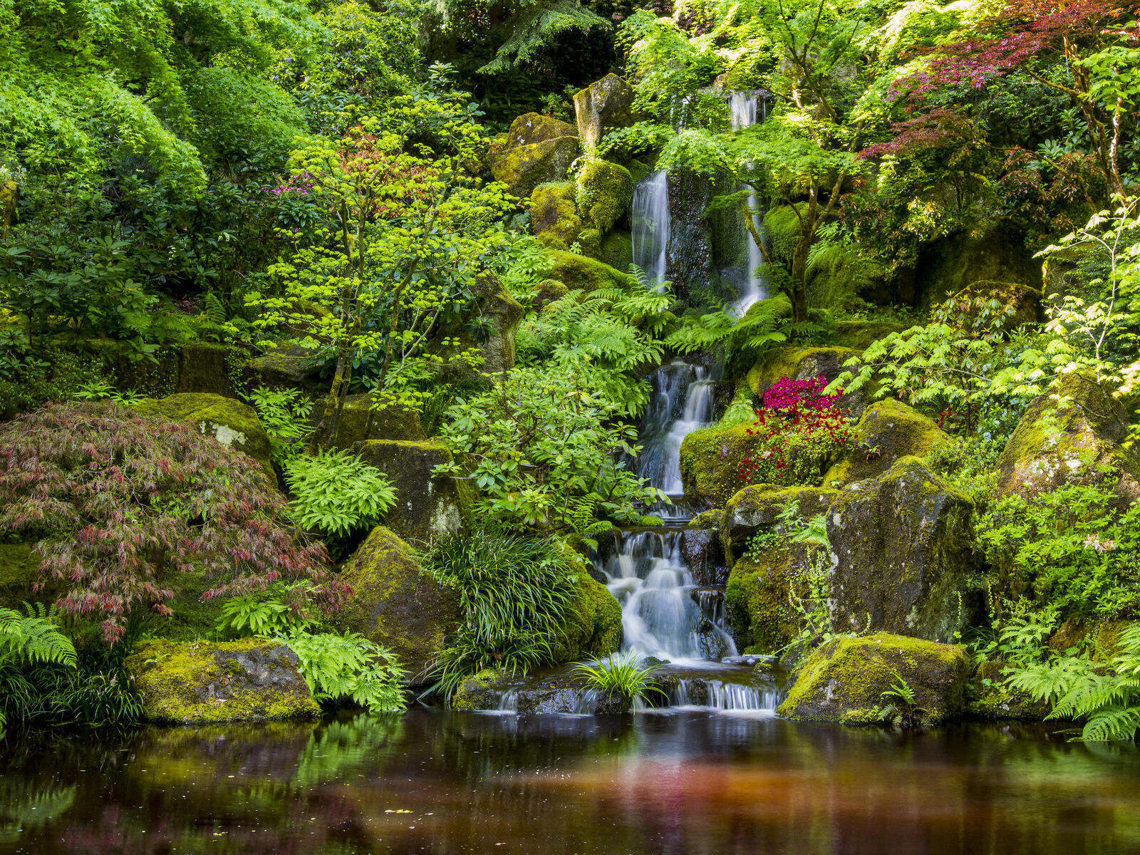 Обои водопад портлендский японский сад парк на рабочий стол