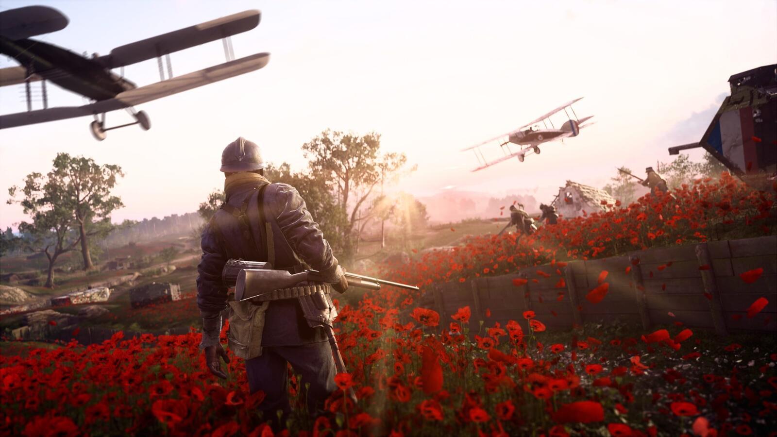 Wallpapers combat 1 poppy flowers aircraft on the desktop