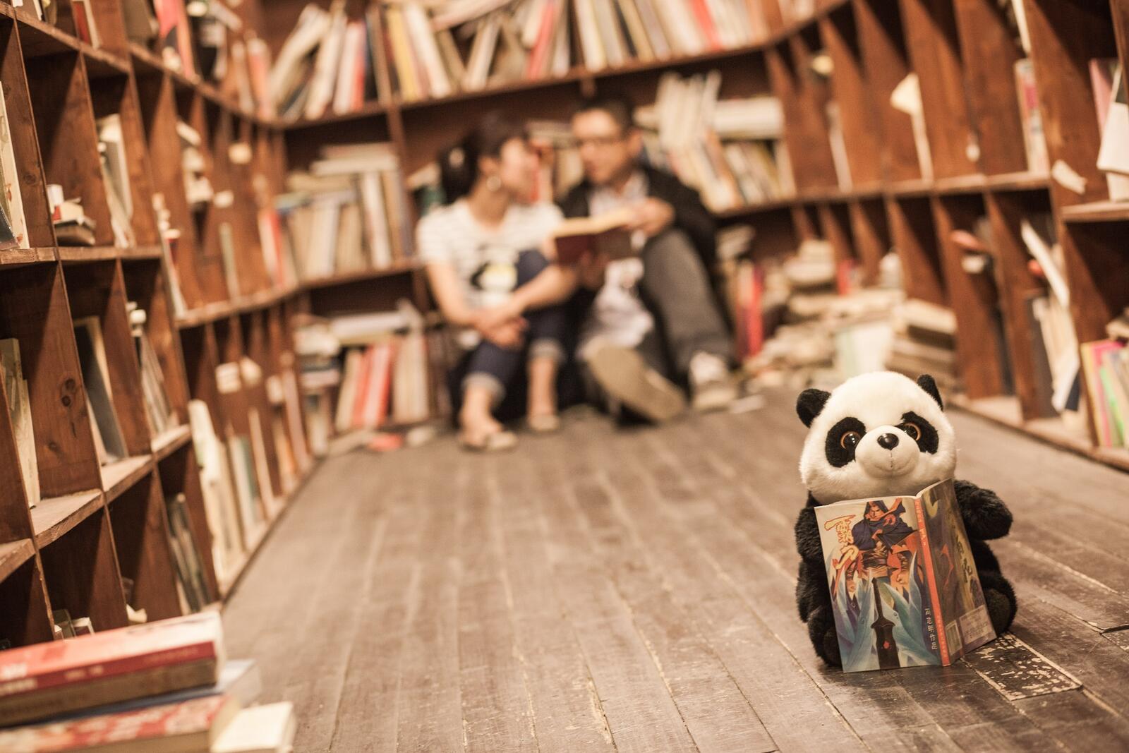 Wallpapers panda soft toy library on the desktop
