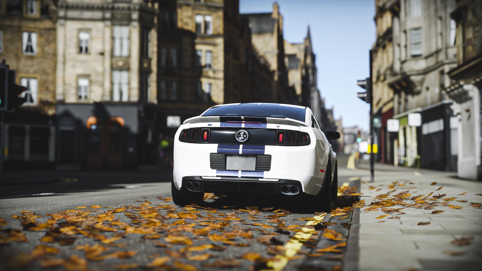 Wallpapers rear view ford mustang shelby gt500 racing games on the desktop