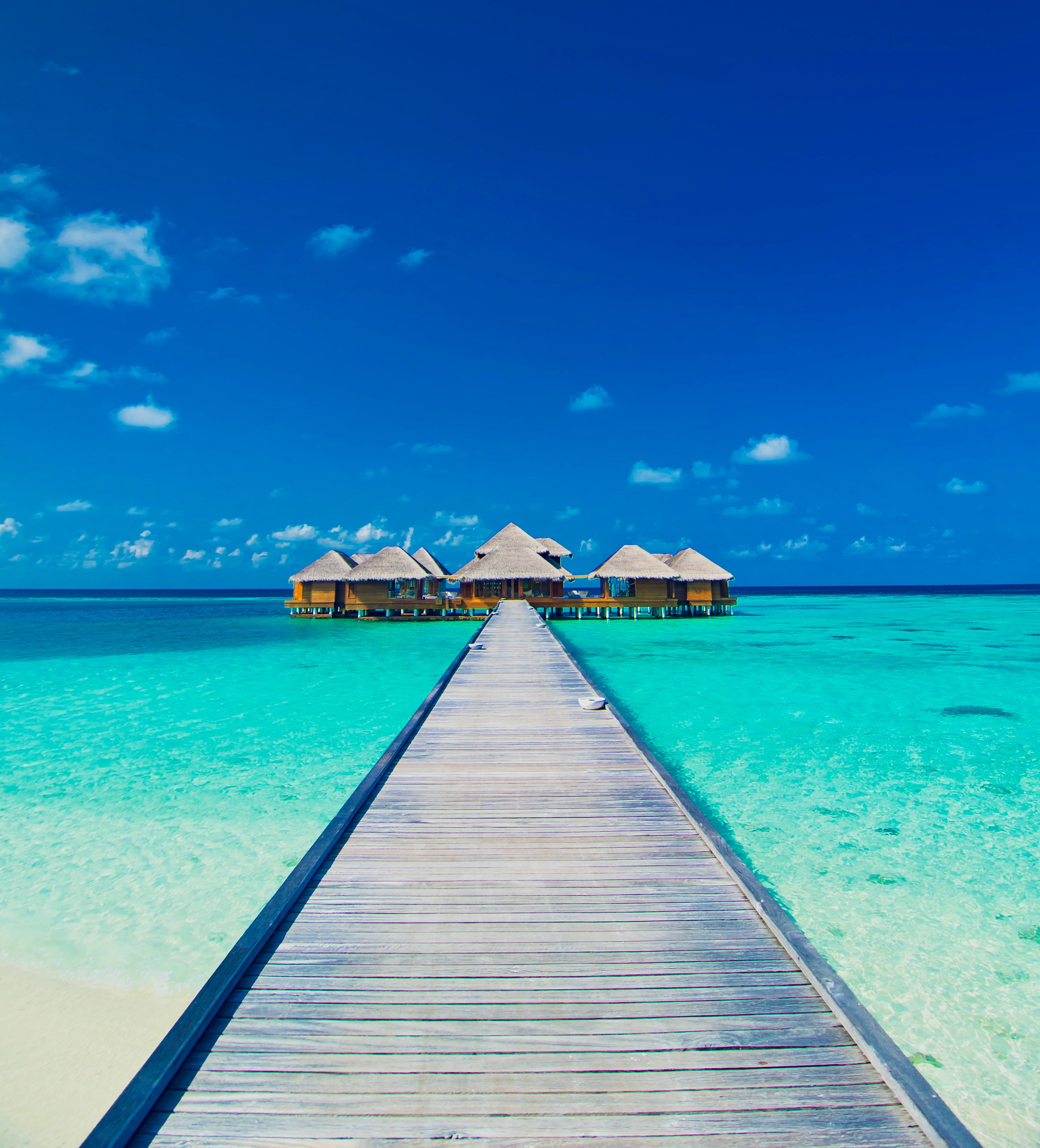 Wallpapers tropical island dock clear water on the desktop